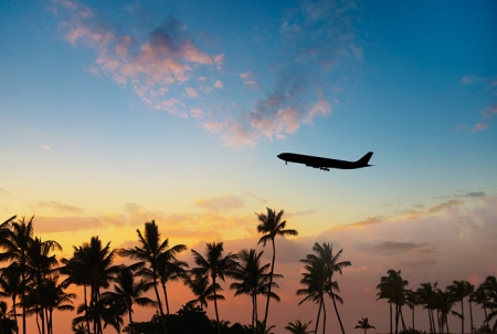 Туроператры готовят туры в Египет.